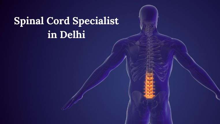 spinal cord specialist in delhi